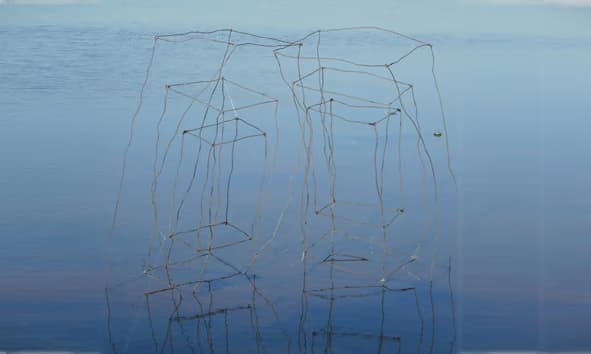 Installation de Pierre Thiebaut — disques sur tiges, reflets sur l'étang