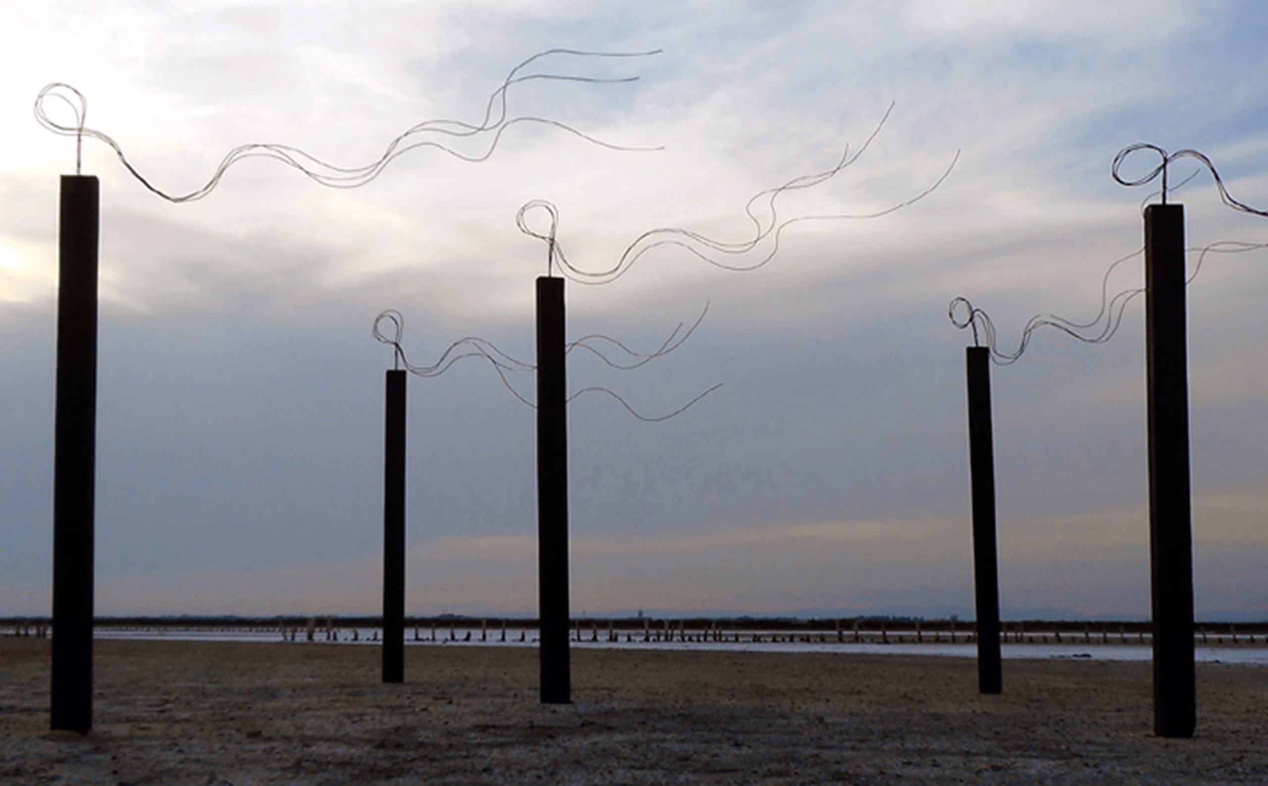 Installation de Pierre Thiebaut — poteaux et fils dans le paysage sétois